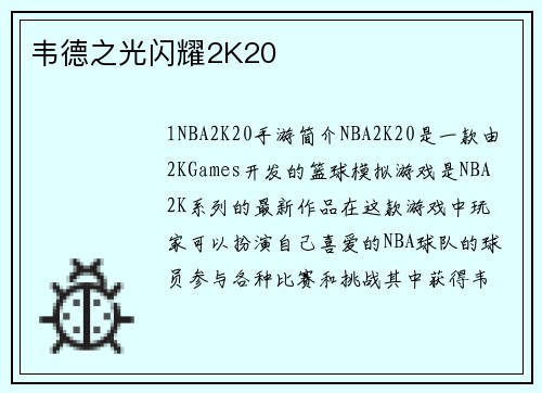 韦德之光闪耀2K20
